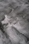 Lapin Skin - Grey 04 / Animal shape
